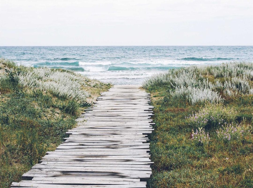 The World in 1988: A Snapshot of Your Birth Year