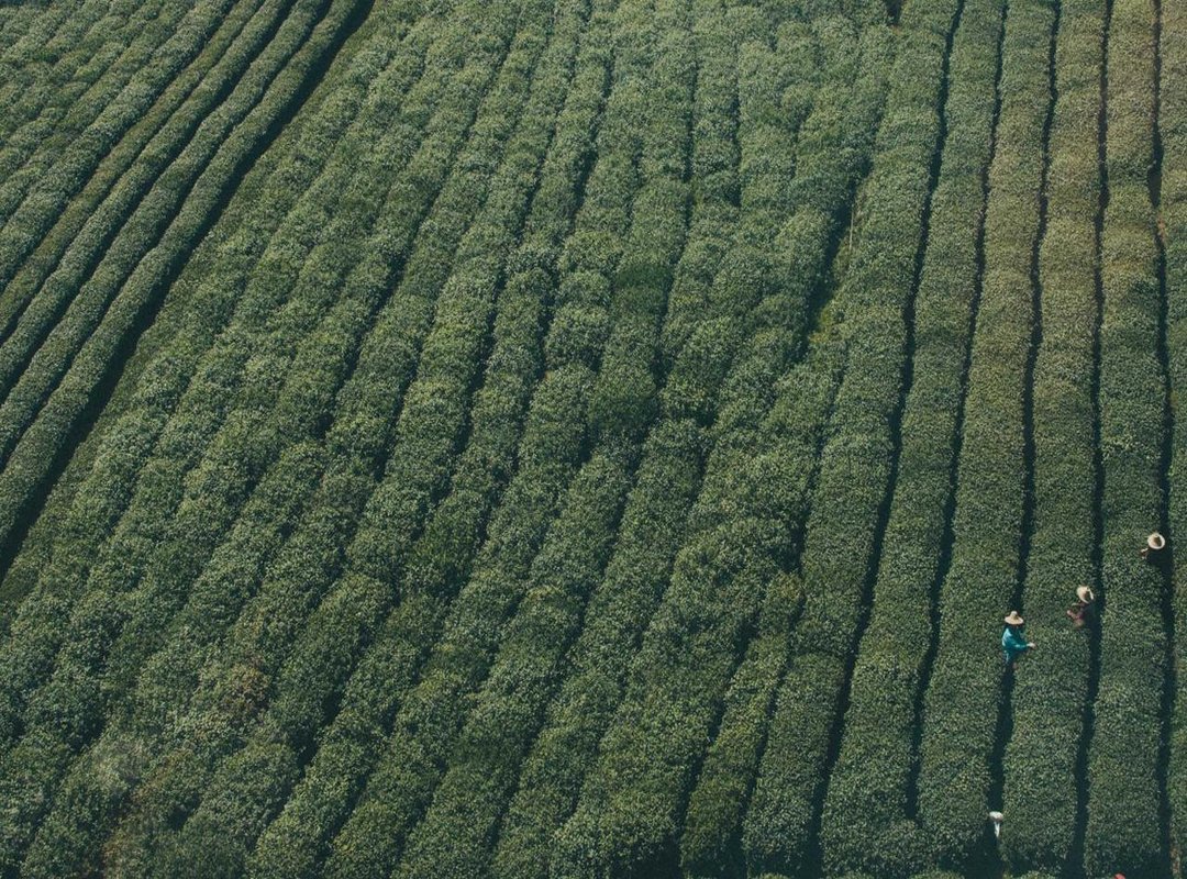 Where to Find High-Resolution HD & 4K Wallpapers