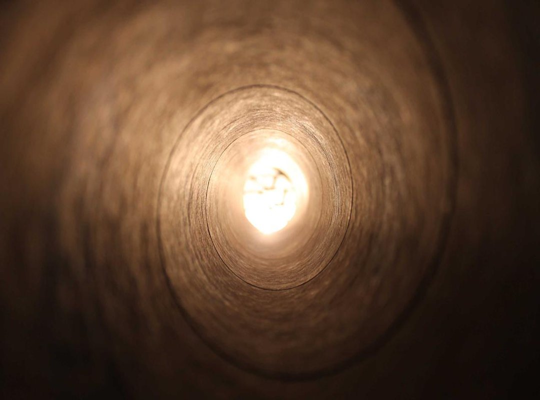 For Those Looking to Adopt: What to Expect