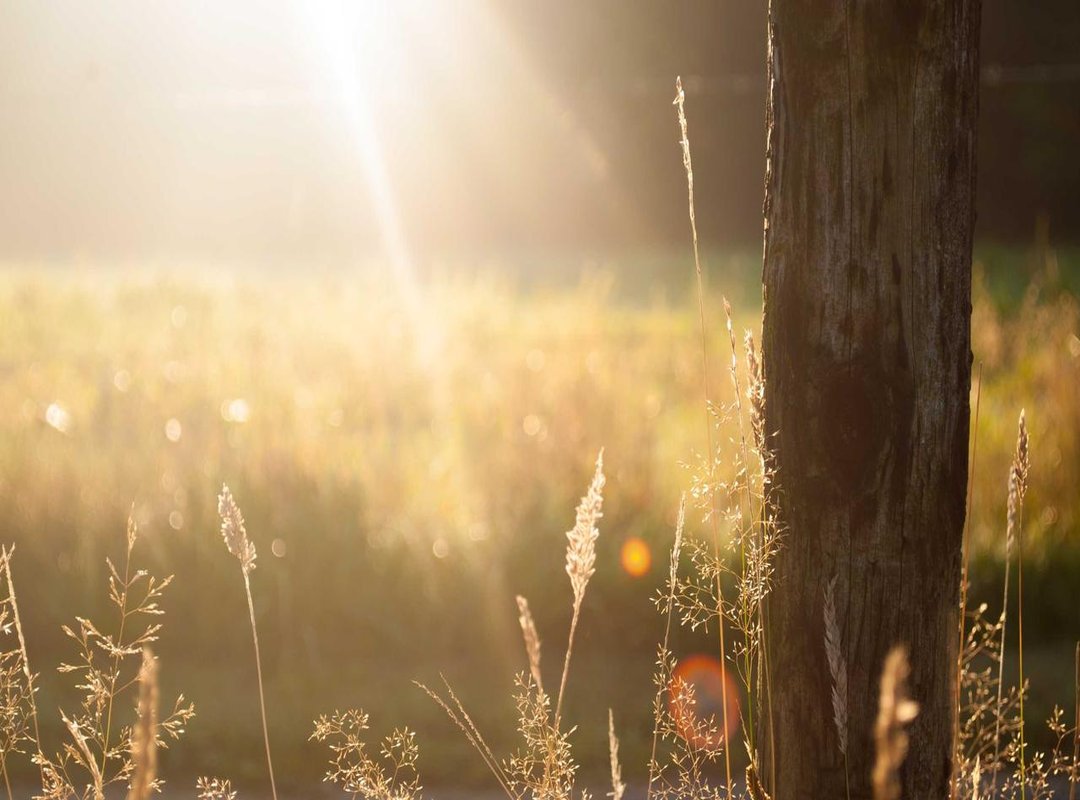 Why We're Drawn to Fictional Heartbreak: The Psychology Behind the Appeal