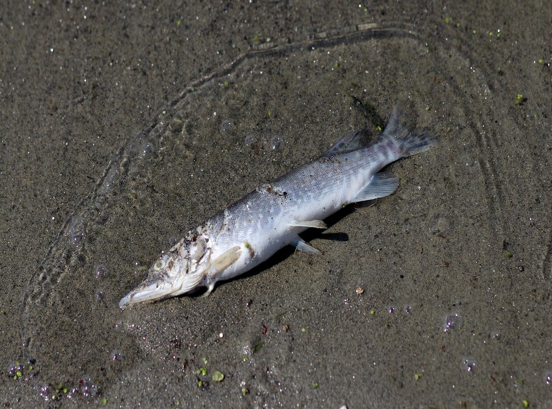 FAQs About 'I Know That Girl Gym'