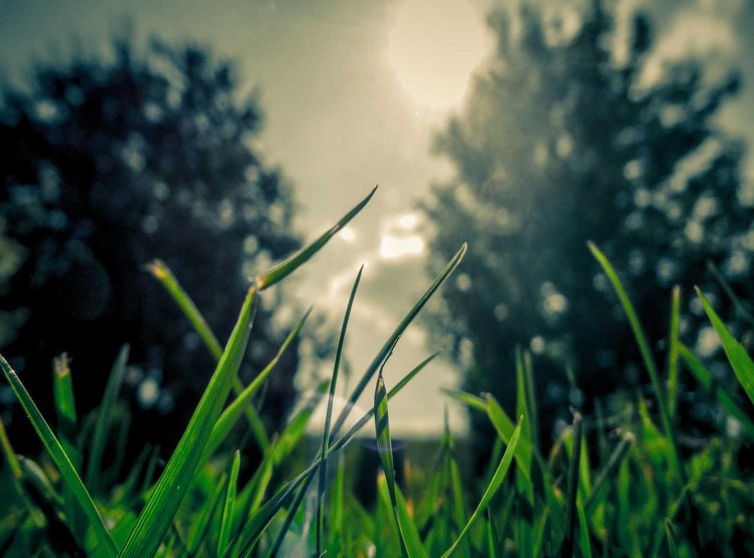 Masters of the Road: Inspiring Examples of Highway Art