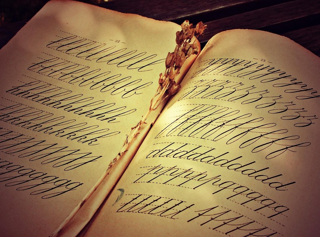 The Funniest 'Meme Pesado Discoteca' Examples Explained