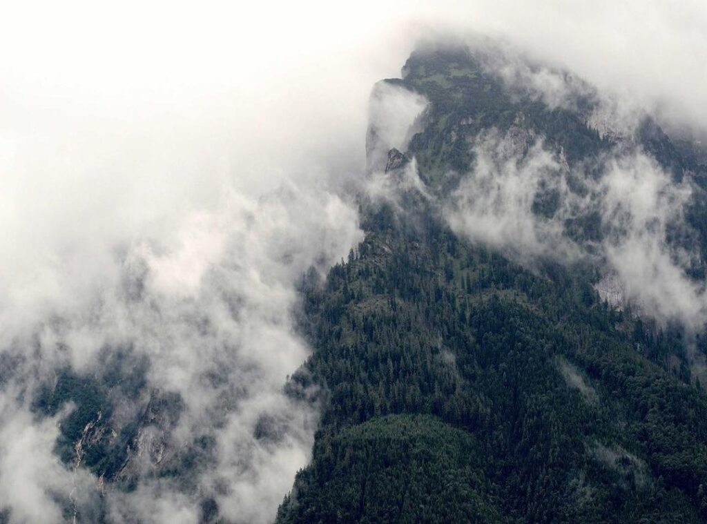 modelcenterlivejasmin