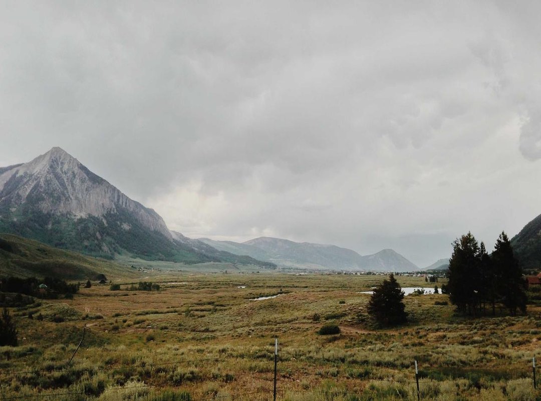 Discover Your Next Favorite: The Indie Game Showcase