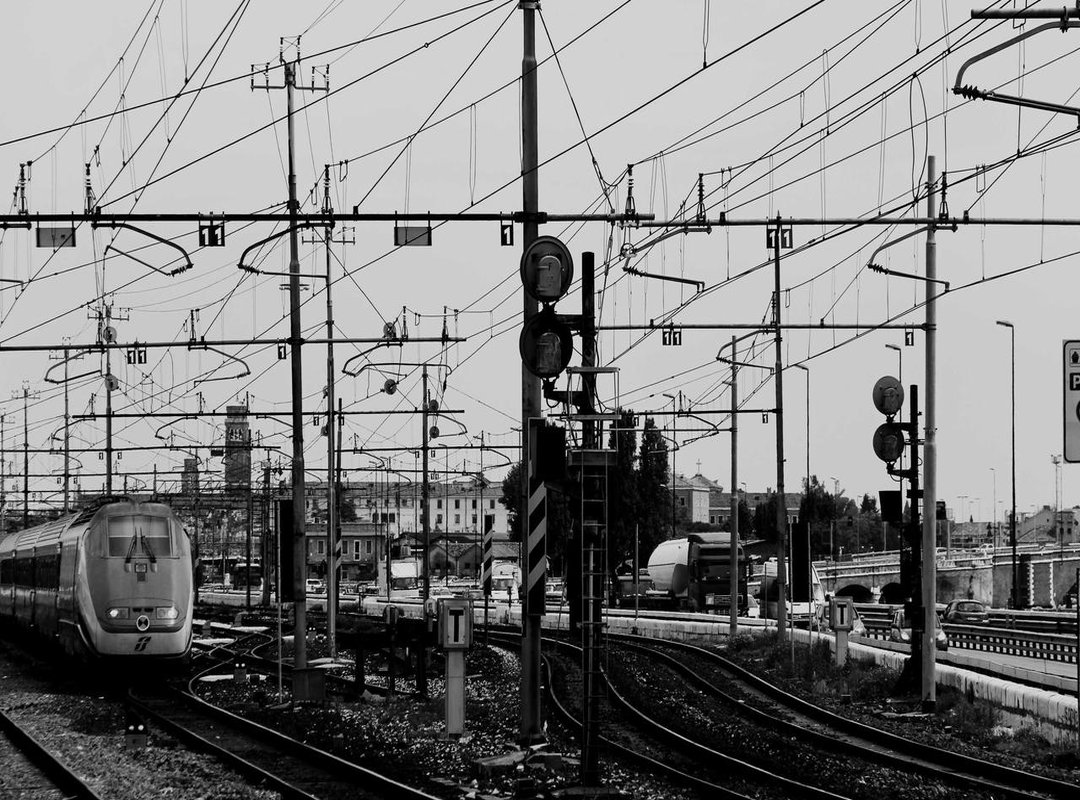 The Crossover Appeal: Why Gamers and Racing Fans Are Cut from the Same Cloth