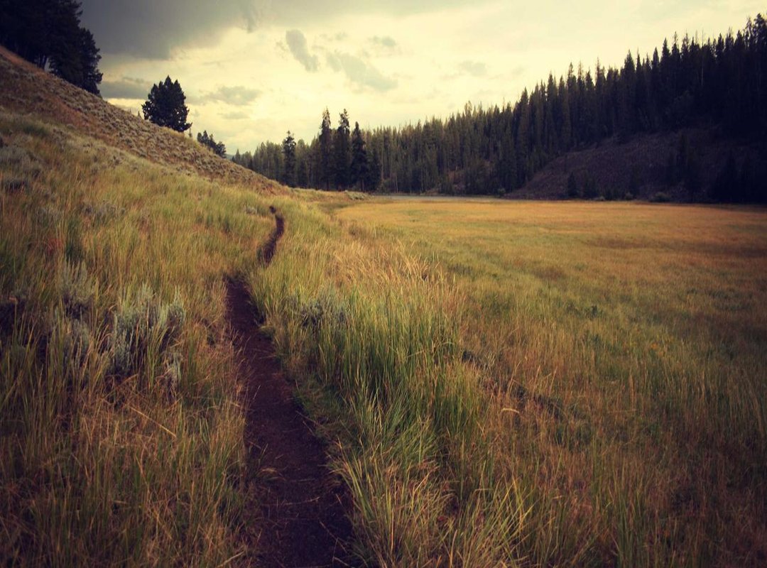 Common Pitfalls in Your Pre-Run (And How to Dodge Them)