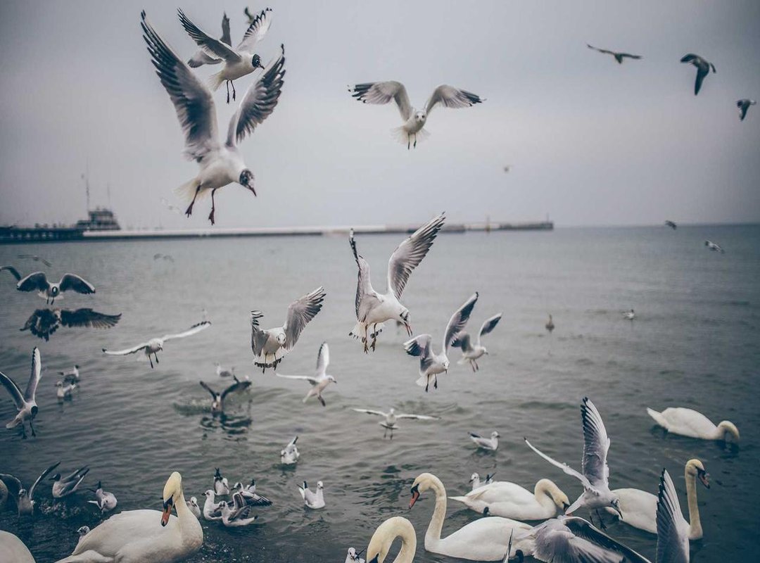 The Statistical Story: A Head-to-Head Team Comparison