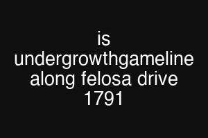 is undergrowthgameline along felosa drive 1791
